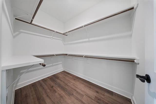 spacious closet featuring dark wood-style floors