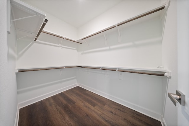 walk in closet with dark wood-type flooring