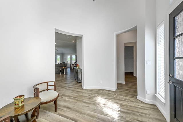 41015 Kimber Ln, Magnolia, TX 77354 - interior space with wood finished floors, baseboards, and a high ceiling