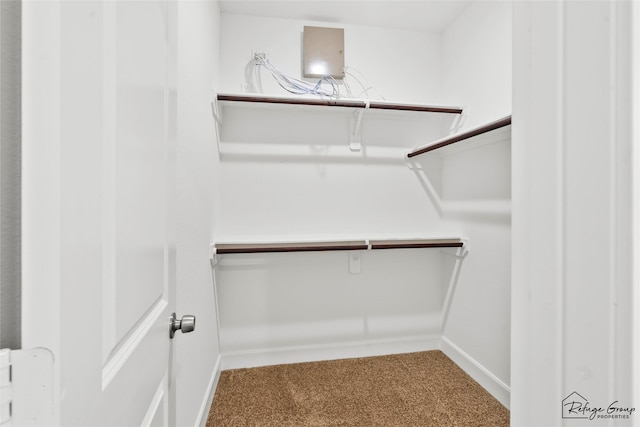 spacious closet with carpet flooring