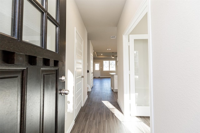 corridor featuring visible vents, dark wood finished floors, and baseboards