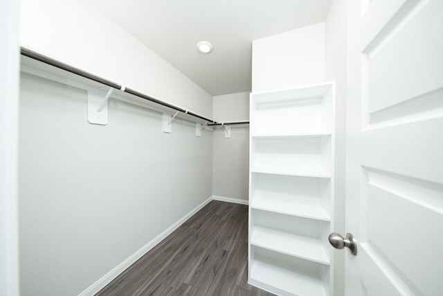 5107 Hector Gustavo Dr, Rosharon, TX 77583 - walk in closet featuring dark wood-type flooring