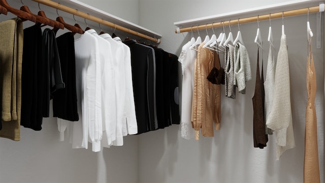 view of spacious closet
