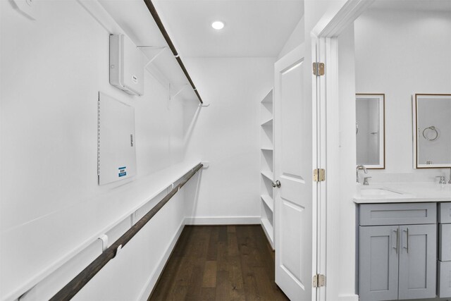 walk in closet featuring a sink and dark wood-style flooring