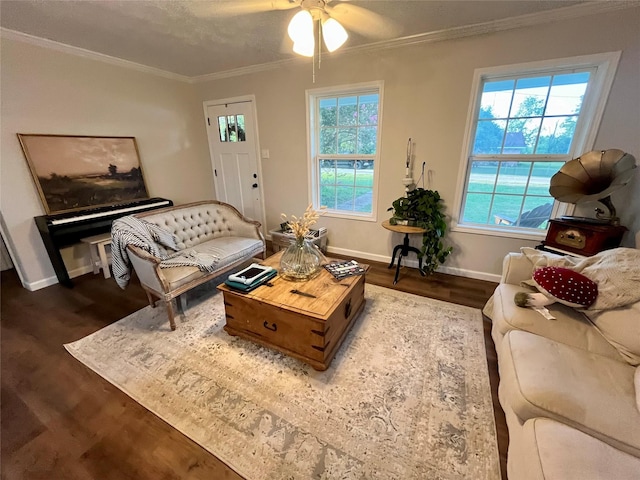 living room with crown molding, dark wood-style floors, and a wealth of natural light