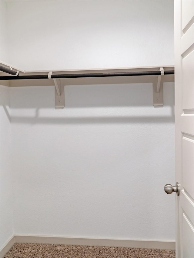 711 Boer Plains Dr, Rosharon, TX 77583 - walk in closet featuring carpet