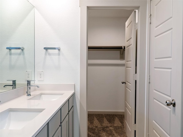711 Boer Plains Dr, Rosharon, TX 77583 - bathroom with double vanity and a spacious closet