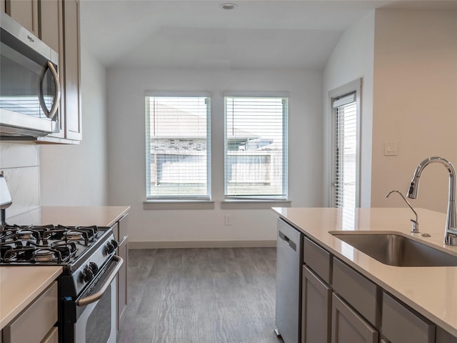 711 Boer Plains Dr, Rosharon, TX 77583 - kitchen with stainless steel appliances, a sink, light wood-style floors, light countertops, and lofted ceiling