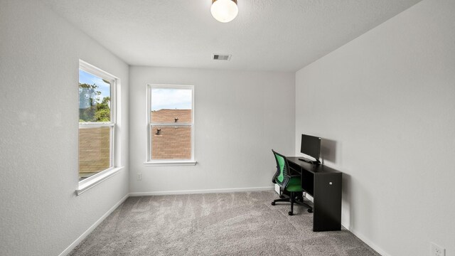 6630 Elks Trce, Richmond, TX 77406 - unfurnished office featuring visible vents, carpet flooring, and baseboards