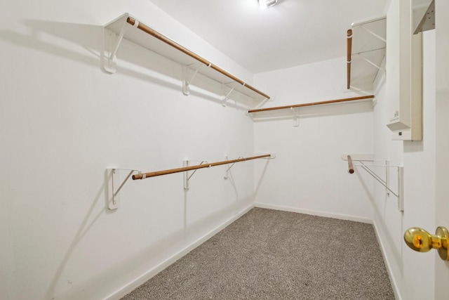 spacious closet featuring carpet floors