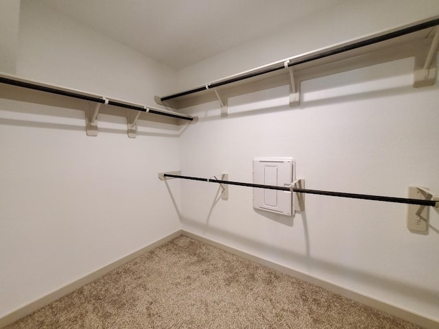 29403 Paytons Park Ct, Katy, TX 77494 - spacious closet featuring carpet flooring