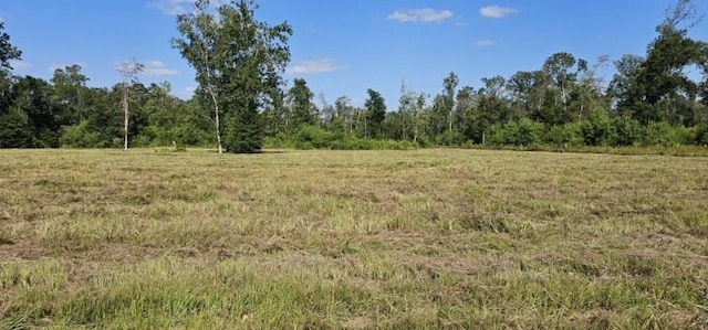 14653 Fm 1008, Dayton, TX 77535 - photo 2