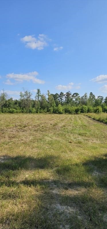 14653 Fm 1008, Dayton, TX 77535 - photo 6