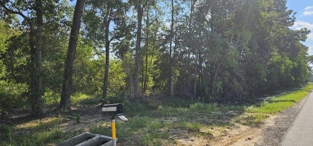 14653 Fm 1008, Dayton, TX 77535 - photo 7
