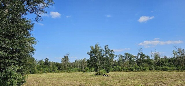 14653 Fm 1008, Dayton, TX 77535 - photo 9
