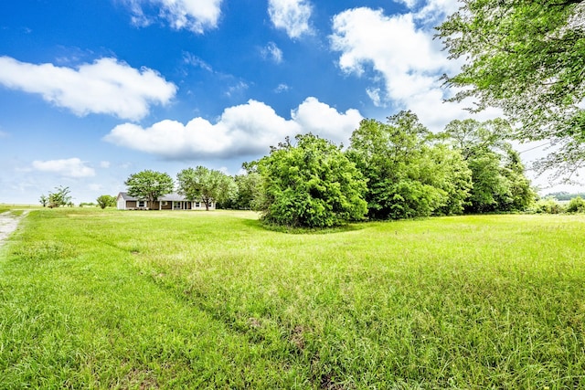 view of yard with a rural view