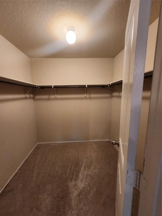 spacious closet featuring carpet