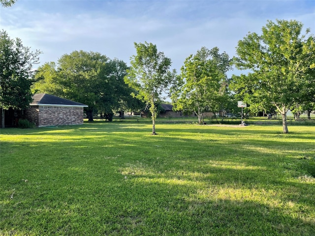803 Sycamore Rd, Richmond, TX 77469 - photo 40