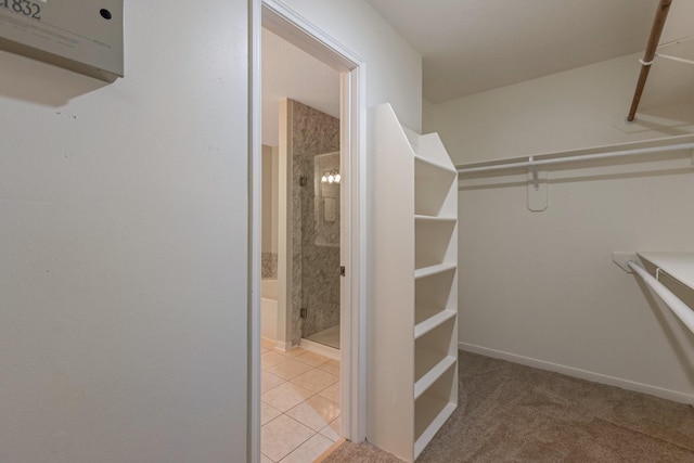 20018 Big Timber Dr, Humble, TX 77346 - view of walk in closet