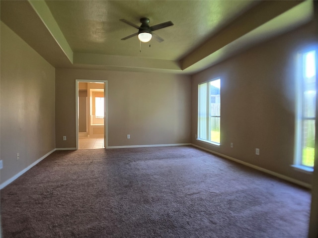 3905 Austin Lake Ct, Pearland, TX 77581 - carpeted spare room with baseboards, ceiling fan, a tray ceiling, and a healthy amount of sunlight