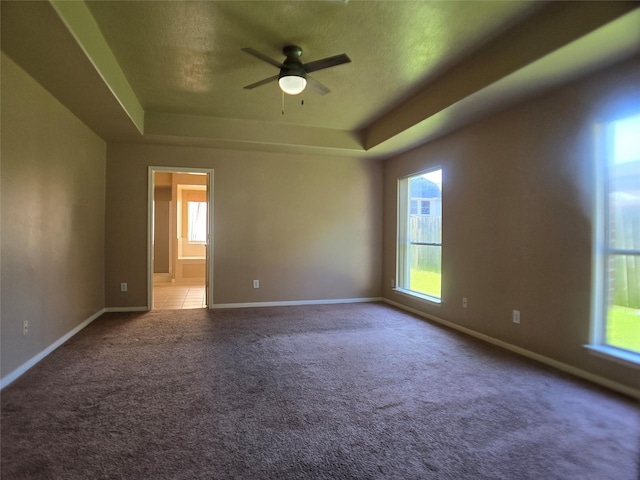 3905 Austin Lake Ct, Pearland, TX 77581 - carpeted spare room featuring a tray ceiling, a wealth of natural light, and ceiling fan