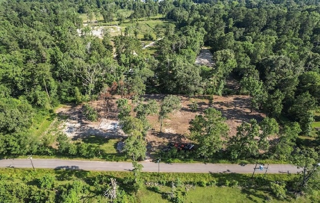 20532 Mcallister Rd, Conroe, TX 77306 - photo 1