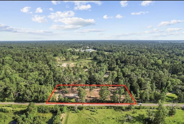 20532 Mcallister Rd, Conroe, TX 77306 - photo 2