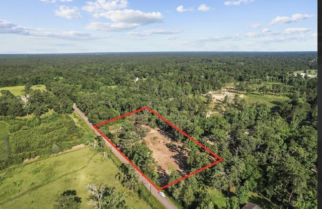20532 Mcallister Rd, Conroe, TX 77306 - photo 3