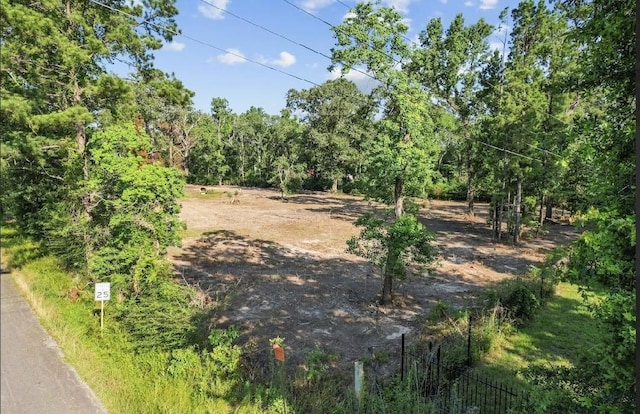 20532 Mcallister Rd, Conroe, TX 77306 - photo 6
