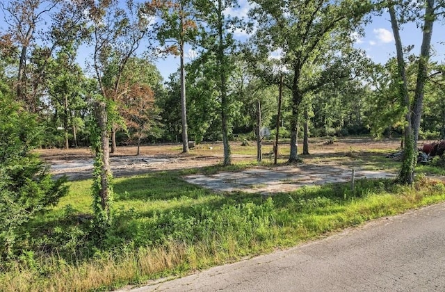 20532 Mcallister Rd, Conroe, TX 77306 - photo 7