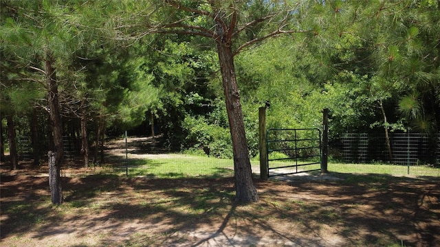 89 Harper Branch Rd, Trinity, TX 75862 - photo 12