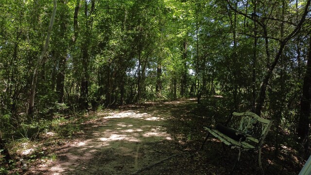89 Harper Branch Rd, Trinity, TX 75862 - photo 14