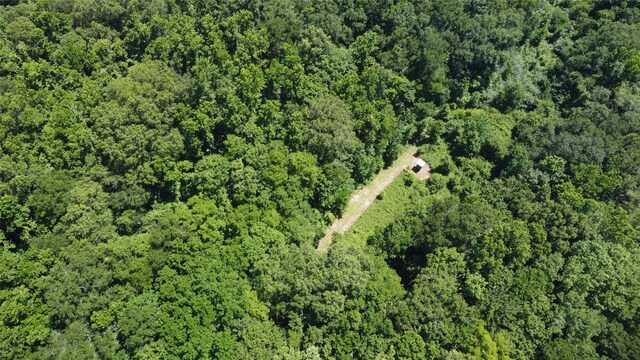 89 Harper Branch Rd, Trinity, TX 75862 - photo 19
