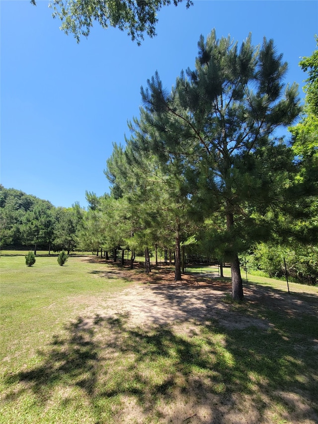 89 Harper Branch Rd, Trinity, TX 75862 - photo 40