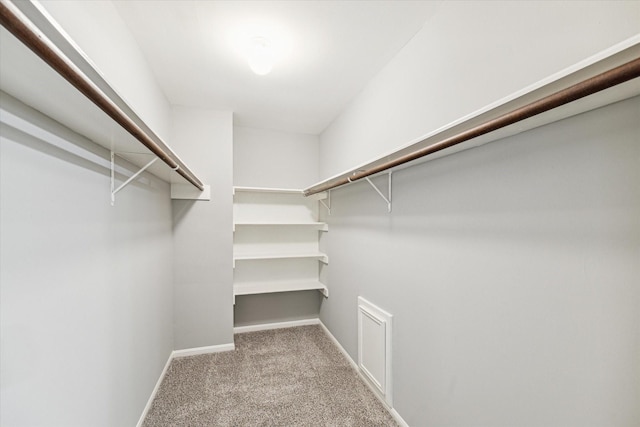 spacious closet with carpet