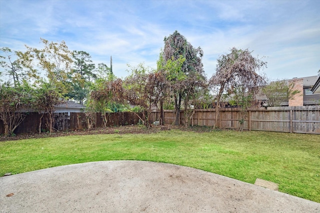 view of yard featuring a fenced backyard and a patio area