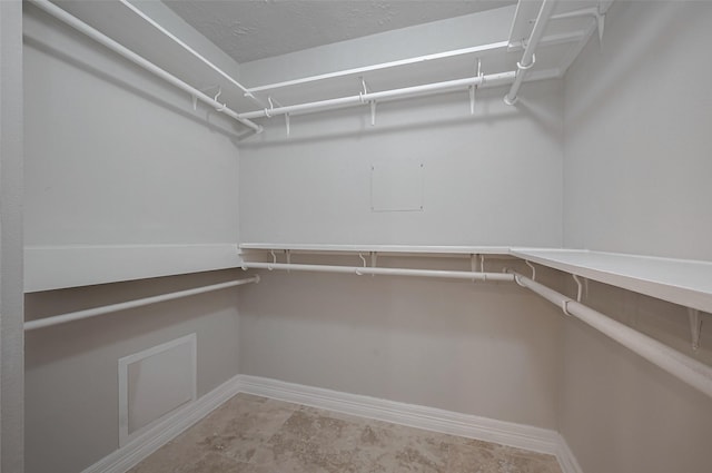 view of spacious closet