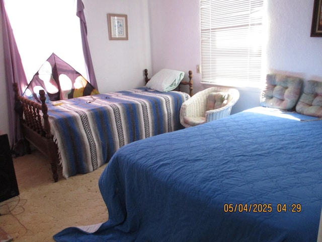 bedroom with carpet floors