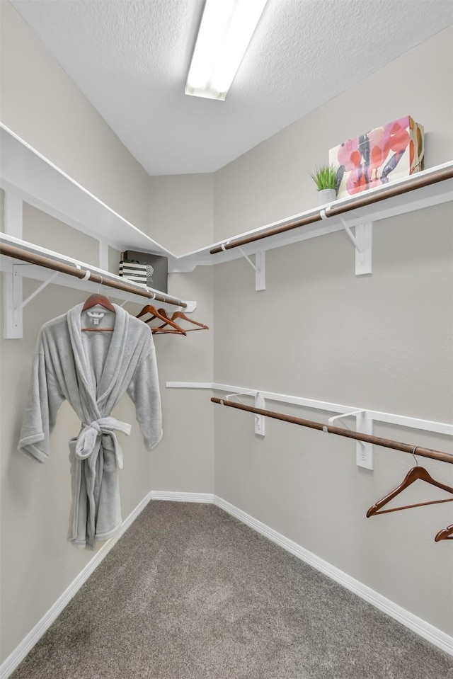 walk in closet featuring carpet floors