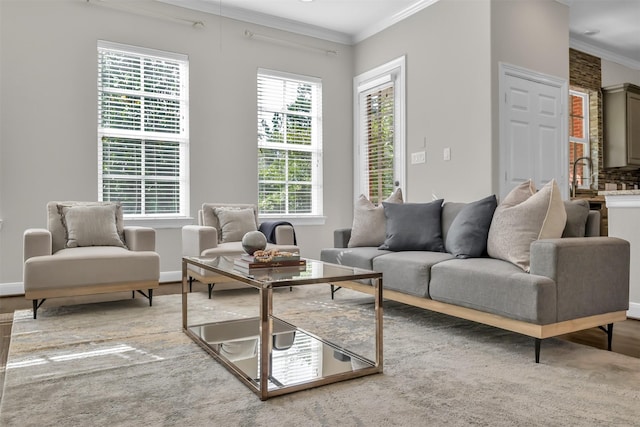 sitting room featuring crown molding, baseboards, and wood finished floors