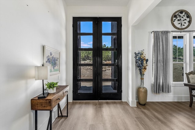 224 Kellog, Fischer, TX 78623 - entrance foyer with baseboards, wood finished floors, and french doors