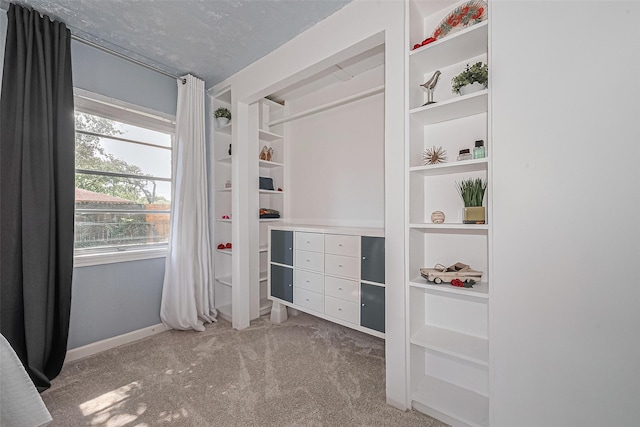 13018 Vernon Rd, Cypress, TX 77429 - view of closet