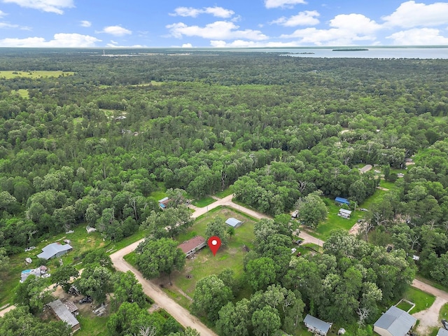 460 Don Reily Drag, Livingston, TX 77351 - photo 6