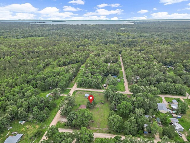 460 Don Reily Drag, Livingston, TX 77351 - photo 7