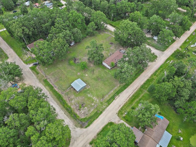 460 Don Reily Drag, Livingston, TX 77351 - photo 8