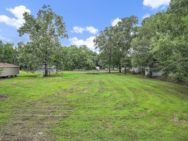 460 Don Reily Drag, Livingston, TX 77351 - photo 4