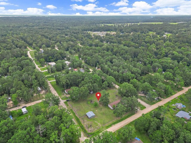 460 Don Reily Drag, Livingston, TX 77351 - photo 5