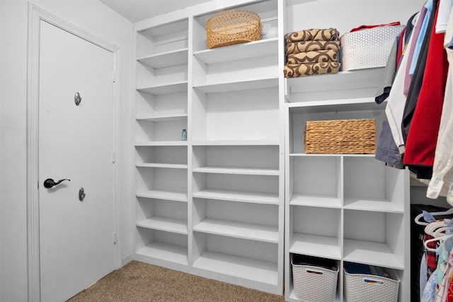 5009 Deerpath Dr, Conroe, TX 77303 - walk in closet with carpet floors