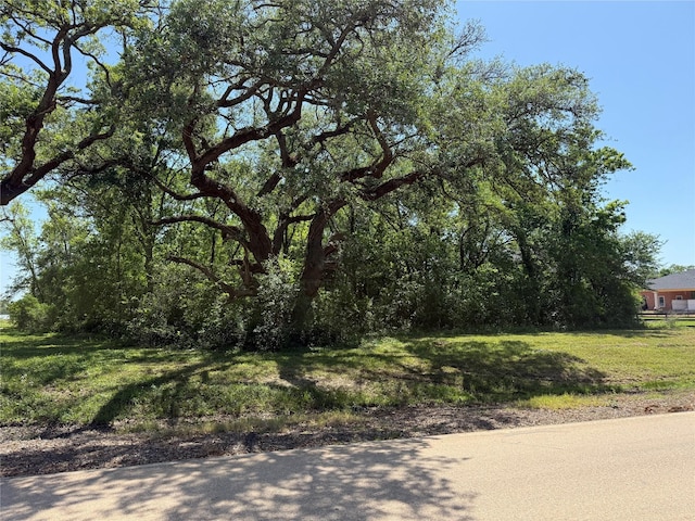 21910 Chenango Lake Dr, Angleton, TX 77515