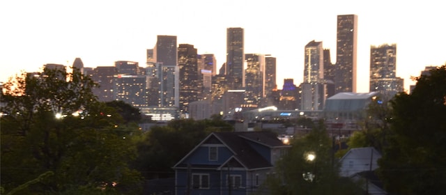 3804 Lovejoy St, Houston, TX 77003 - view of city